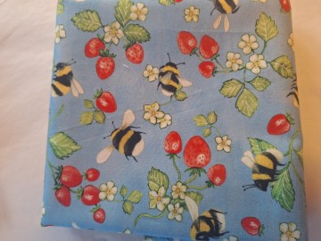 Jordbær på lyse blå bunn 