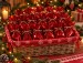 Quilte.nets JULEKALENDER -stor